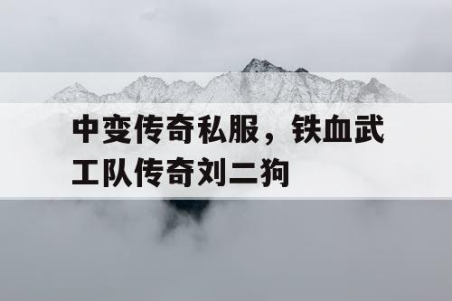 中变传奇私服，铁血武工队传奇刘二狗