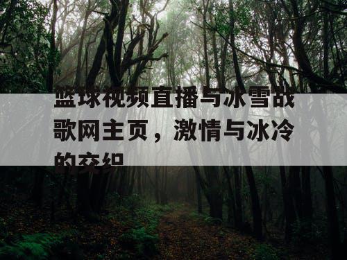 篮球视频直播与冰雪战歌网主页，激情与冰冷的交织