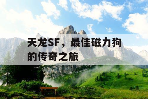 天龙SF,最佳磁力狗的传奇之旅 天龙SF,最佳磁力狗的传奇之旅
