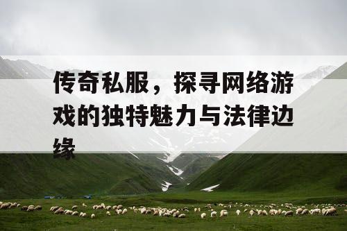 传奇私服，探寻网络游戏的独特魅力与法律边缘