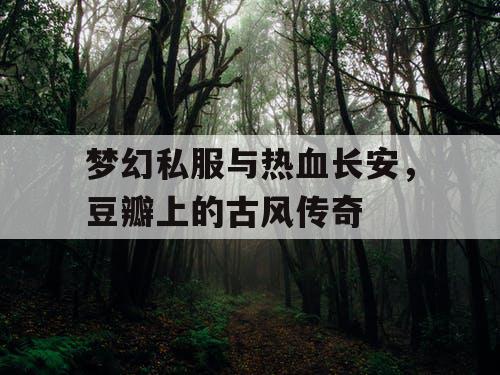 梦幻私服与热血长安,豆瓣上的古风传奇 梦幻私服与热血长安,豆瓣上的古风传奇