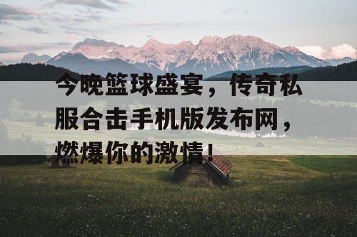 今晚篮球盛宴，传奇私服合击手机版发布网，燃爆你的激情！