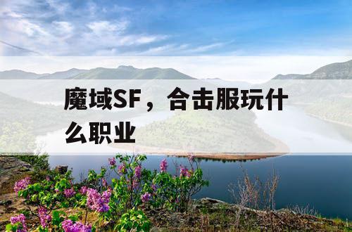 魔域SF,合击服玩什么职业 魔域SF,合击服玩什么职业