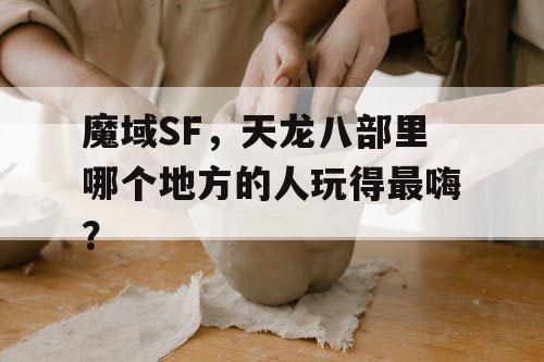 魔域SF，天龙八部里哪个地方的人玩得最嗨？