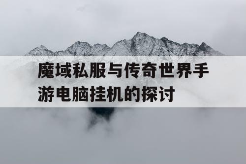 魔域私服与传奇世界手游电脑挂机的探讨