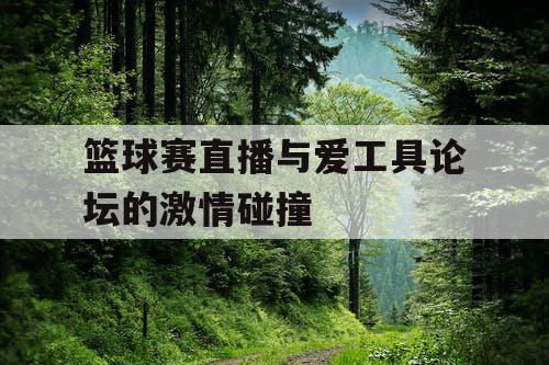 篮球赛直播与爱工具论坛的激情碰撞