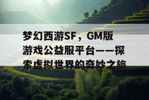 梦幻西游SF,GM版游戏公益服平台——探索虚拟世界的奇妙之旅 梦幻西游SF,GM版游戏公益服平台——探索虚拟世界的奇妙之旅