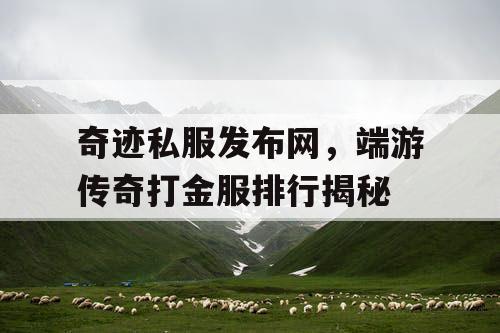 奇迹私服发布网，端游传奇打金服排行揭秘
