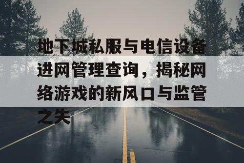 地下城私服与电信设备进网管理查询,揭秘网络游戏的新风口与监管之失 地下城私服与电信设备进网管理查询,揭秘网络游戏的新风口与监管之失