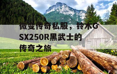 微变传奇私服，铃木GSX250R黑武士的传奇之旅