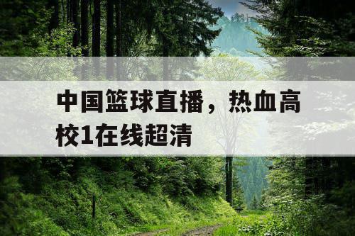 中国篮球直播,热血高校1在线超清 中国篮球直播,热血高校1在线超清