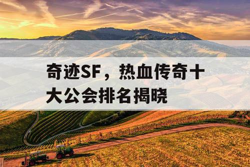 奇迹SF,热血传奇十大公会排名揭晓 奇迹SF,热血传奇十大公会排名揭晓