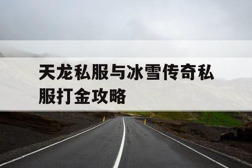 天龙私服与冰雪传奇私服打金攻略