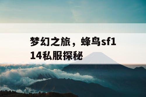 梦幻之旅，蜂鸟sf114私服探秘