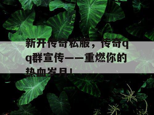 新开传奇私服，传奇qq群宣传——重燃你的热血岁月！
