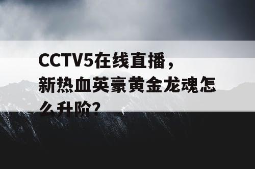 CCTV5在线直播,新热血英豪黄金龙魂怎么升阶? CCTV5在线直播,新热血英豪黄金龙魂怎么升阶?