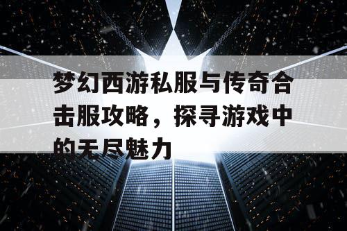梦幻西游私服与传奇合击服攻略，探寻游戏中的无尽魅力
