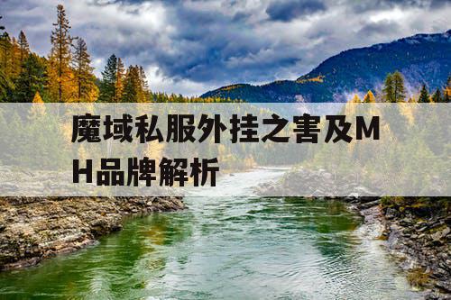 魔域私服外挂之害及MH品牌解析