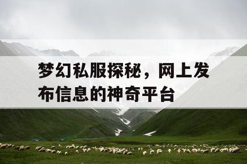 梦幻私服探秘，网上发布信息的神奇平台