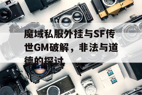 魔域私服外挂与SF传世GM破解,非法与道德的探讨 魔域私服外挂与SF传世GM破解,非法与道德的探讨