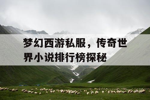 梦幻西游私服，传奇世界小说排行榜探秘