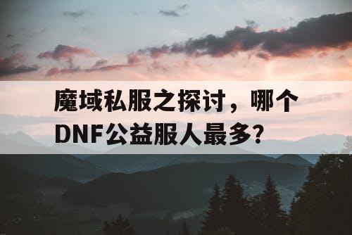 魔域私服之探讨，哪个DNF公益服人最多？