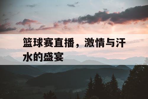 篮球赛直播，激情与汗水的盛宴