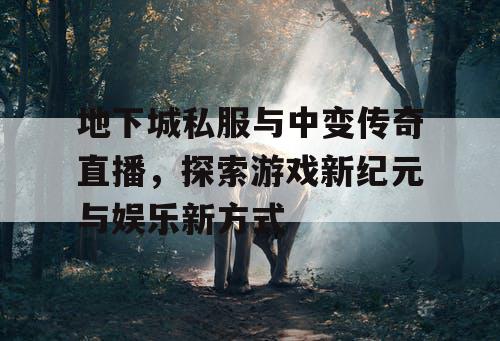 地下城私服与中变传奇直播,探索游戏新纪元与娱乐新方式 地下城私服与中变传奇直播,探索游戏新纪元与娱乐新方式