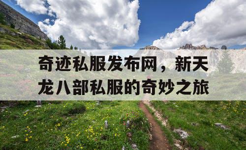 奇迹私服发布网，新天龙八部私服的奇妙之旅