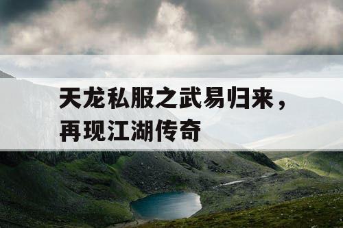 天龙私服之武易归来，再现江湖传奇
