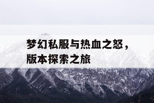梦幻私服与热血之怒，版本探索之旅