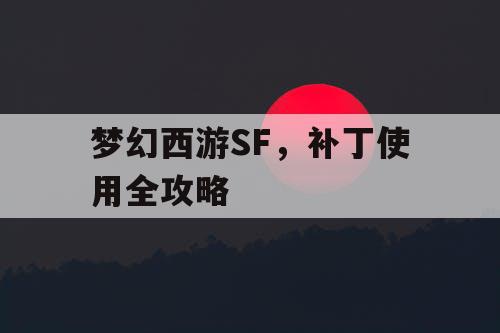梦幻西游SF,补丁使用全攻略 梦幻西游SF,补丁使用全攻略