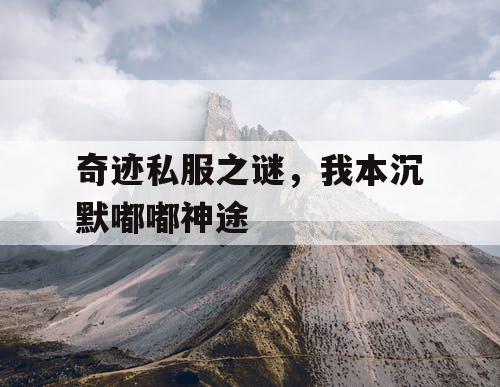 奇迹私服之谜，我本沉默嘟嘟神途