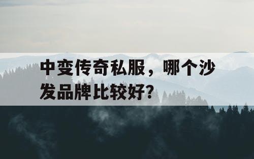 中变传奇私服，哪个沙发品牌比较好？