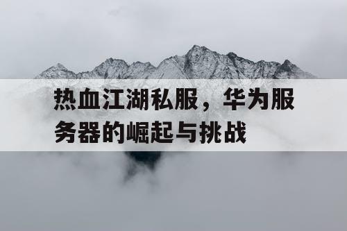 热血江湖私服，华为服务器的崛起与挑战