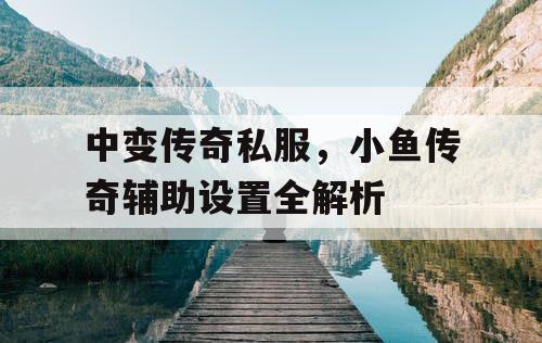 中变传奇私服，小鱼传奇辅助设置全解析