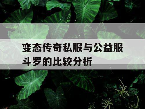 变态传奇私服与公益服斗罗的比较分析