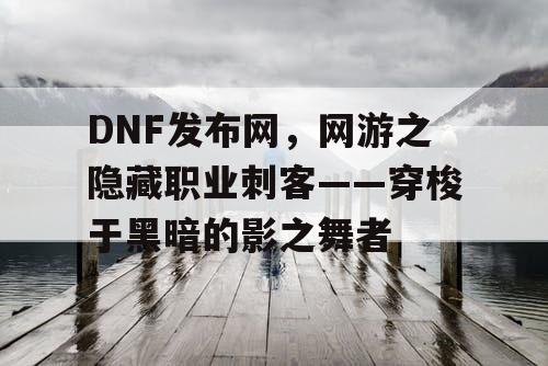 DNF发布网,网游之隐藏职业刺客——穿梭于黑暗的影之舞者 DNF发布网,网游之隐藏职业刺客——穿梭于黑暗的影之舞者
