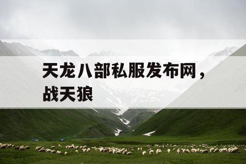 天龙八部私服发布网，战天狼