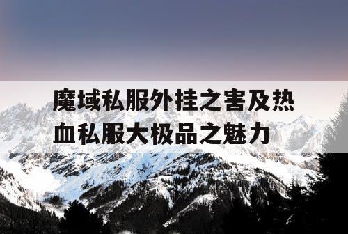 魔域私服外挂之害及热血私服大极品之魅力
