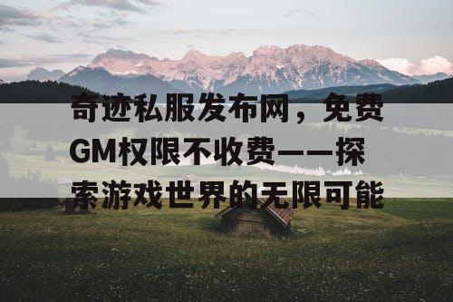 奇迹私服发布网,免费GM权限不收费——探索游戏世界的无限可能 奇迹私服发布网,免费GM权限不收费——探索游戏世界的无限可能