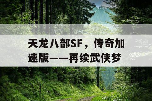 天龙八部SF,传奇加速版——再续武侠梦 天龙八部SF,传奇加速版——再续武侠梦