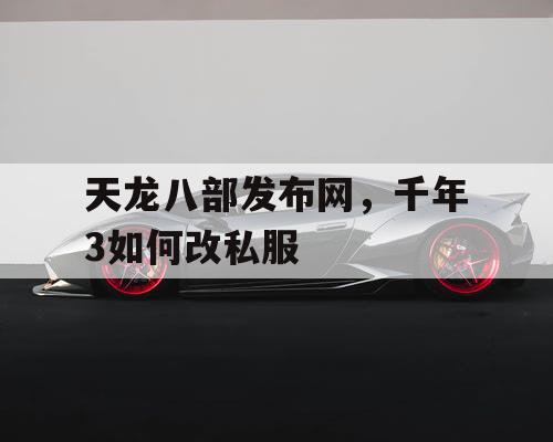 天龙八部发布网，千年3如何改私服