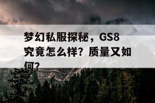 梦幻私服探秘,GS8究竟怎么样?质量又如何? 梦幻私服探秘,GS8究竟怎么样?质量又如何?