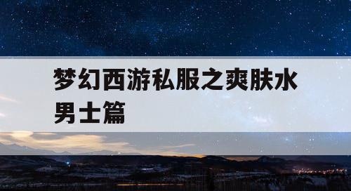 梦幻西游私服之爽肤水男士篇