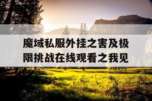 魔域私服外挂之害及极限挑战在线观看之我见 魔域私服外挂之害及极限挑战在线观看之我见