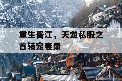 重生晋江,天龙私服之首辅宠妻录 重生晋江,天龙私服之首辅宠妻录