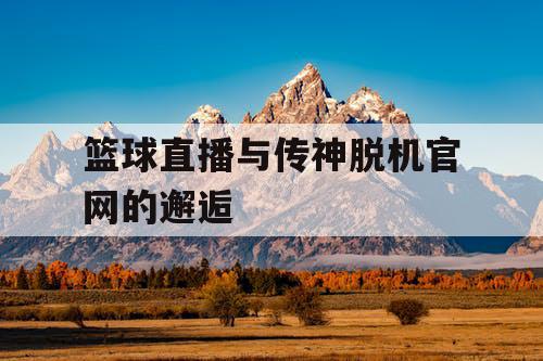 篮球直播与传神脱机官网的邂逅 篮球直播与传神脱机官网的邂逅