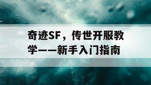 奇迹SF,传世开服教学——新手入门指南 奇迹SF,传世开服教学——新手入门指南