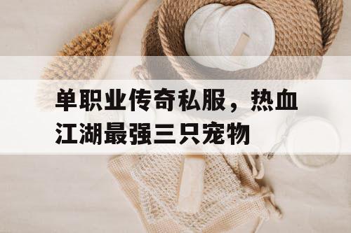 单职业传奇私服,热血江湖最强三只宠物 单职业传奇私服,热血江湖最强三只宠物